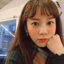강아지가정부 네이버블로그
