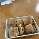 토마토어학원 | 호주워홀 D+14,15 어학원 일상