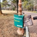 반월당신세계약국 | [대구] 프로여행러를 위한 필수 여행코스 추천_목끝까지 먹어보자!