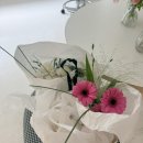 솔앤꽃 | 대구 웨딩촬영 준비 ✨ 솔앤꽃 부케 후기｜콘부케·메인부케·서브부케 만족