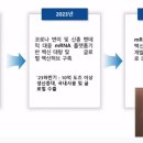 에스티투자개발