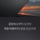 월리584 | 감성숙소부터 오션뷰, 히든카페까지! 양양 감성여행의 모든 것, 비시즌에도 특별한 여행코스와 서핑...