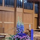 원주제일 이미지