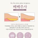 러브바디톡스