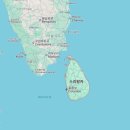 함께 걷는 사람들 | 극한직업 리뷰: 스리랑카 보석 광부와 야자수액 채취꾼, 생계의 경계를 걷는 사람들