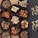 태림당한의원 이미지