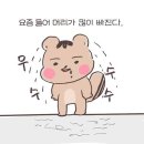 리폼미용재료 | 정수리폼클렌저로 실천하고있는 나만의 샴푸루틴 공개~ 두둥!