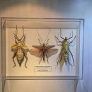 동강생태정보센터 이미지