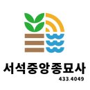 디자인서석 이미지
