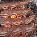 월성오토캠핑장 이미지