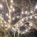 한우&흑돼지 이미지