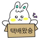 언니찬스