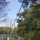 월평 사이클장 | 대전 도솔산 산행