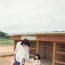 함평양서파충류생태공원 티스토리