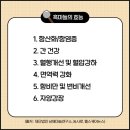 재단법인 남해마늘연구소 이미지