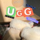라피네마망 | UGG 어그 코케트 슬리퍼 샌드 37 : 어그 사이즈 팁, 샌드 컬러, 가격