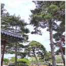 영모정(永慕亭) | <전남 영암군 - 영암 제일 정자 - 회사정(會社亭)>