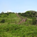 하늘정원 이미지