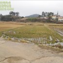 약산면-4 이미지