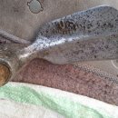 핸섬파머 이미지