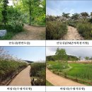 바람길 이미지