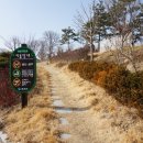 금왕읍 명품가로숲길 이미지