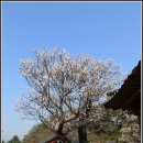 고매로 이미지