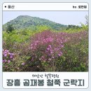 수북한 도시락 | 장흥 곰재봉 철쭉 군락지 봄 산행을 즐기고 왔어요 등산 코스와 주차 정보
