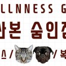 숨인짐 이미지