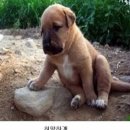 같이 이미지