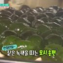 떡꽃을피우다 이미지