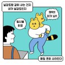 오쿨 이미지