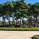 한강시민공원 이미지