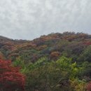 백양사 주차장 화장실 이미지