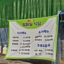 주말 오전 8시 광양 매화축제 오픈런 후기 봄나들이 명소