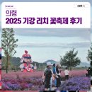 청초목장 | 경남 의령 꽃축제 가을꽃이 만개한 2025 기강 리치 꽃축제 후기
