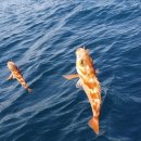 포항시남구장기면양포보건진료소 이미지