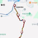 양운우체국 Daum카페