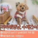 까까뭐멍냥 이미지