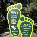 북천수 공중화장실 이미지