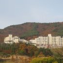 수앤수기획(수&수기획) | 국내호캉스 얼리버드 기획전!! 7,8월 호텔예약 미리미리~