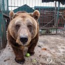 세상밖으로 이미지