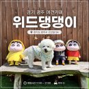 댕댕이루 | 경기 광주 애견카페 위드댕댕이 솔직 후기｜중소형견 강아지 전용 애견카페