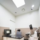 비전동물병원 이미지