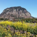 호근농장 이미지