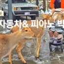 제주랑아이랑