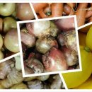 참살이건강원 이미지