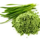 새싹슈퍼 이미지