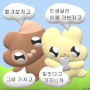글램핑봄 이미지