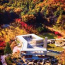 e 푸른약국 이미지